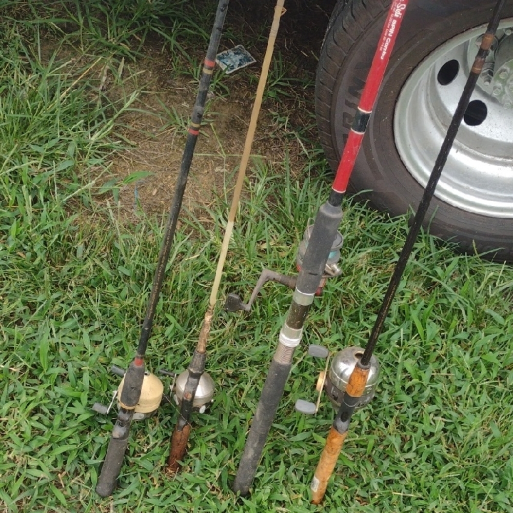 Set of Fishing Rods with Reels(4)
